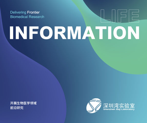 Logo與品牌設計：設計師助力上海企業騰飛的關鍵要素